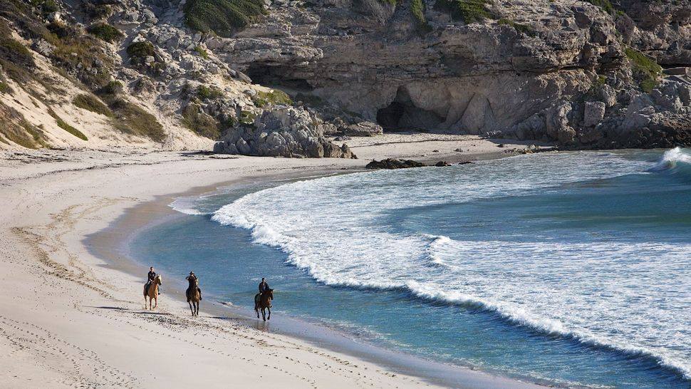 Tourist-Lodge-horse-trails-gansbaai